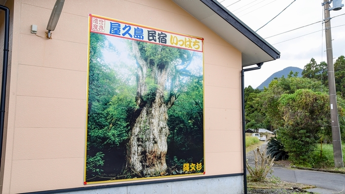 【ガイド手配代行★縄文杉（1日コース）】1番人気！屋久杉の歴史と偉大さを体感　※ガイド代別途